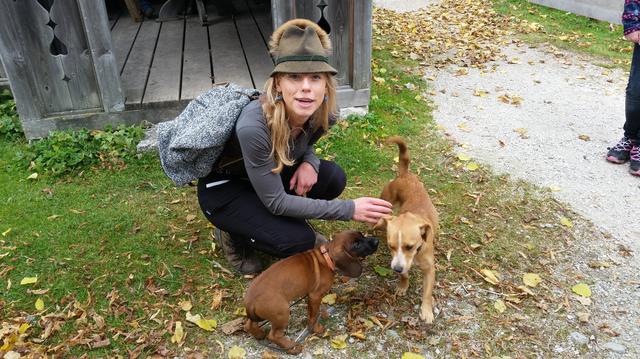 20170926_104034.jpg 20170926_104034.jpg