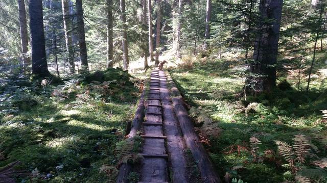 20170929_102821.jpg 20170929_102821.jpg