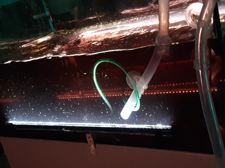 ENTROPY_waterbassin.jpg ENTROPY_waterbassin.jpg