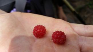 20180829_123137.jpg - 10378397.2 20180829_123137.jpg - 10378397.2