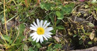 IMG-20180901-WA0037_klein.jpg - 10378405.2 IMG-20180901-WA0037_klein.jpg - 10378405.2