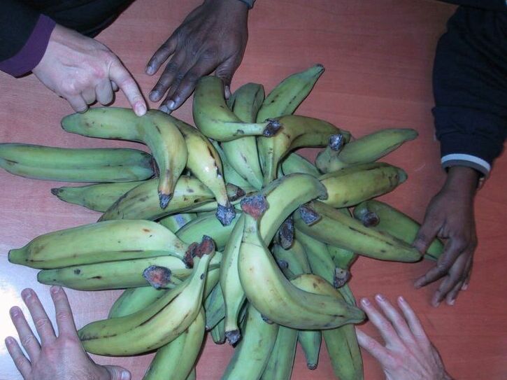 Plantains_fresh_from_Lagos - 115537.1 Plantains_fresh_from_Lagos - 115537.1