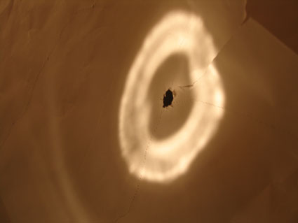 7.tag3 - 1309031.1 7.tag3 - 1309031.1