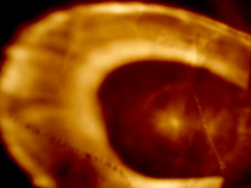 12.tag1 - 1314030.1 12.tag1 - 1314030.1