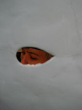 21.tag4 - 1317206.1 21.tag4 - 1317206.1