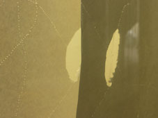 25.tag5 - 1319586.1 25.tag5 - 1319586.1