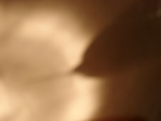 29.tag2 - 1321799.1 29.tag2 - 1321799.1