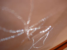 29.tag5 - 1321807.1 29.tag5 - 1321807.1