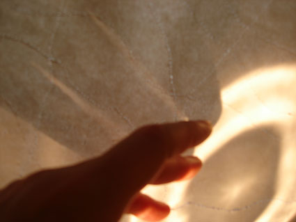 40.tag3 - 1326894.1 40.tag3 - 1326894.1