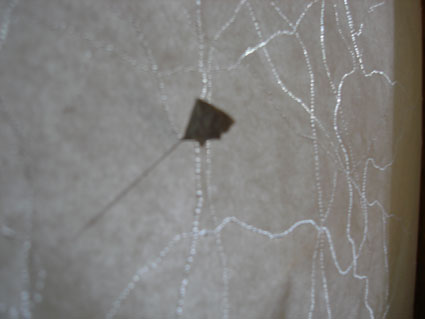 40.tag4 - 1326896.1 40.tag4 - 1326896.1