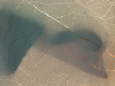 43.tag11 - 1328401.1 43.tag11 - 1328401.1