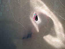 43.tag17 - 1328413.1 43.tag17 - 1328413.1