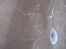 49.tag3 - 1332789.1 49.tag3 - 1332789.1