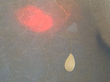 56.tag2 - 1336182.1 56.tag2 - 1336182.1