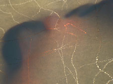 56.tag5 - 1336188.1 56.tag5 - 1336188.1