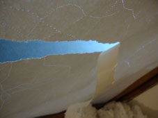 56.tag13 - 1336204.1 56.tag13 - 1336204.1