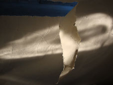 56.tag18 - 1336214.1 56.tag18 - 1336214.1