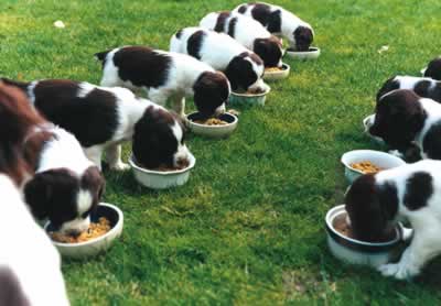 Schmuckbild 4 - 148460.1 hu_wi.jpg