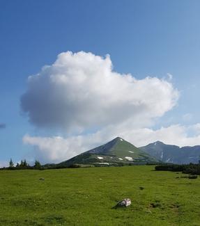 Web Hochmölbing.jpg Web Hochmölbing.jpg