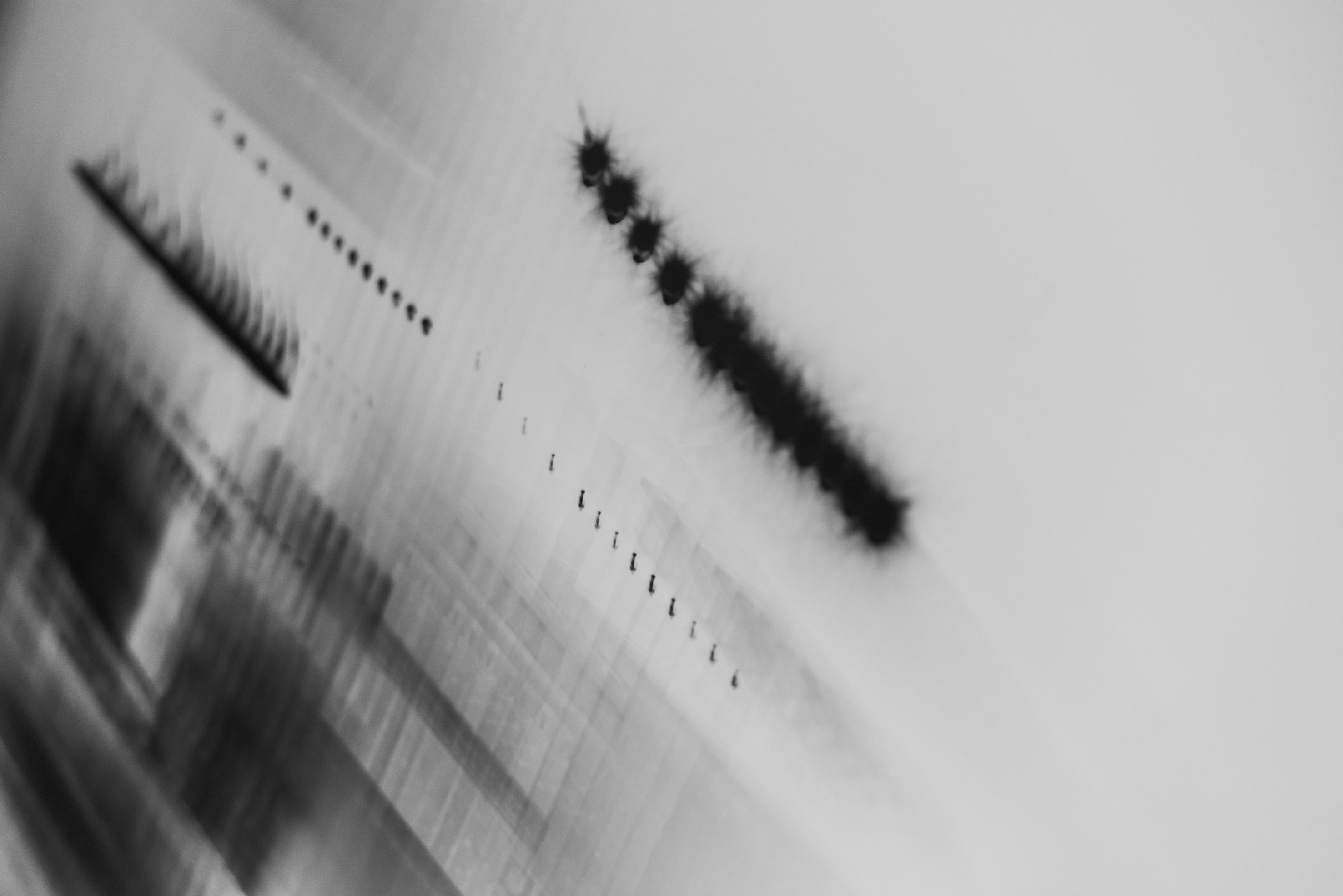 eSeL_Joa-8240.jpg eSeL_Joa-8240.jpg