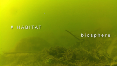 #HABIATA_episode03_s.jpg #HABIATA_episode03_s.jpg