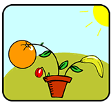 bild 4 ohne - 218349.1 bild 4 ohne - 218349.1