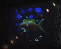 ktl14_leinwand02 - 289711.1 ktl14_leinwand02 - 289711.1